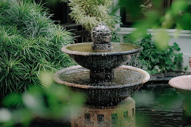 How do i keep my fountain water clean for birds?