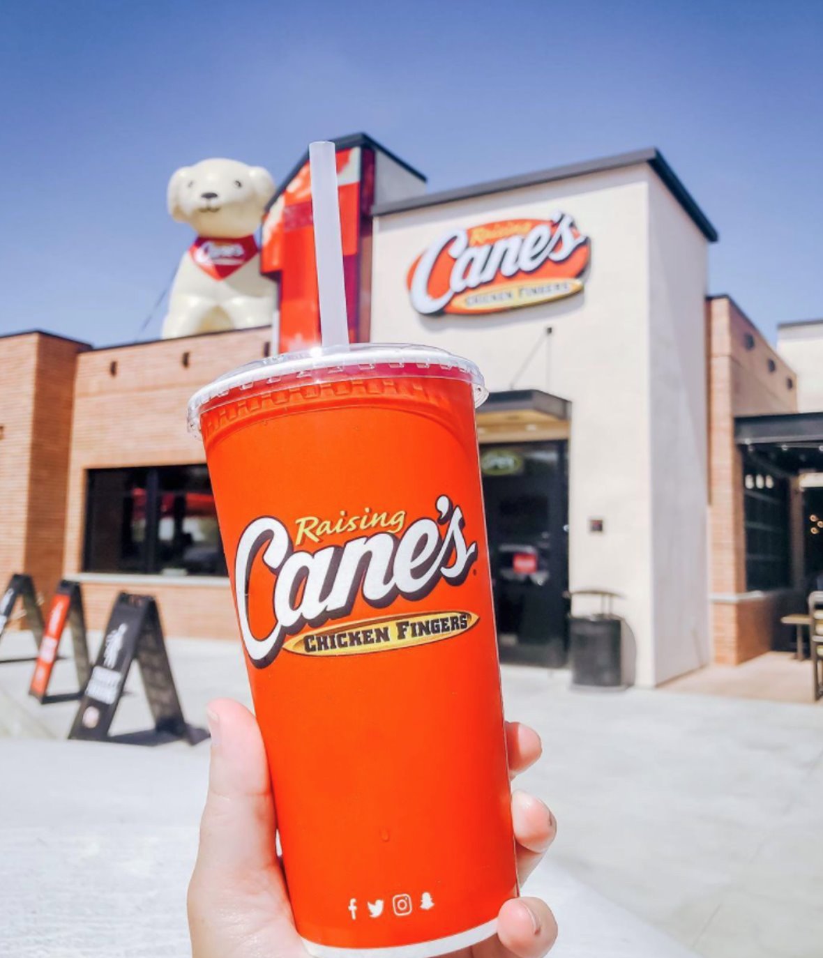 Does Canes Tea Have Caffeine