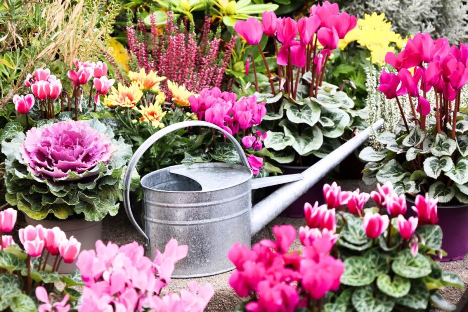 These stunning flowers will turn your fall garden into a firework show