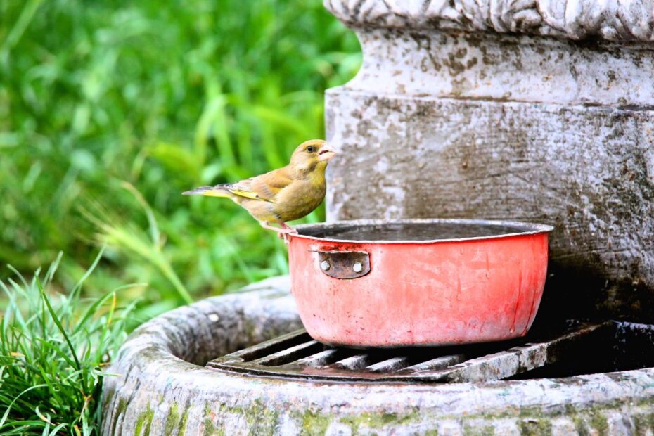 Don’t throw away old pots and pans — turn them into bird-friendly garden accessories